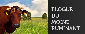 Blogue du moins ruminant blogue